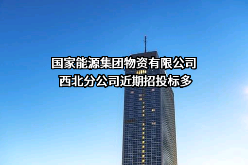 国家能源集团物资有限公司西北分公司