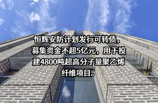 江苏恒辉安防股份有限公司
