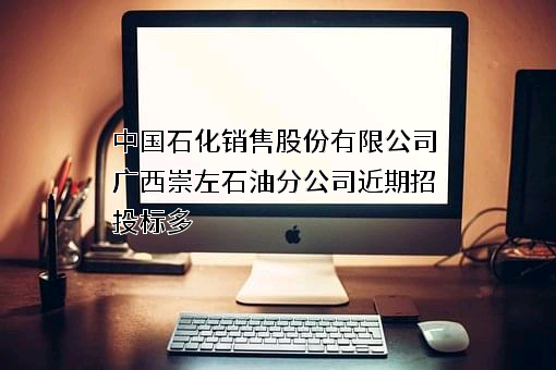 中国石化销售股份有限公司广西崇左石油分公司