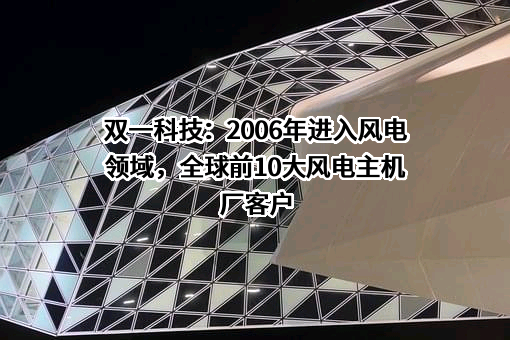 山东双一科技股份有限公司