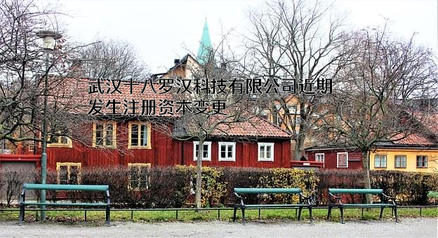 武汉十八罗汉科技有限公司