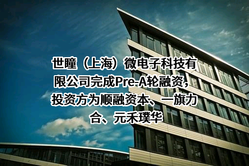 世瞳（上海）微电子科技有限公司