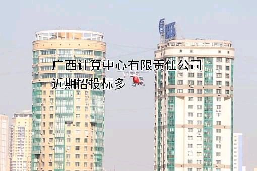 广西计算中心有限责任公司