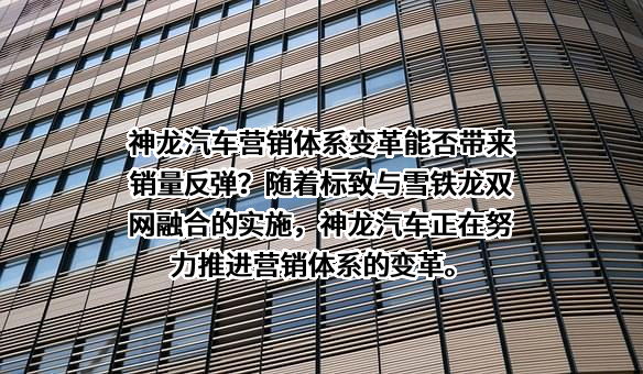 东风汽车股份有限公司