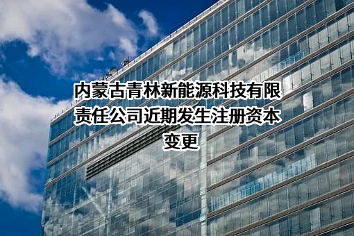 内蒙古青林新能源科技有限责任公司