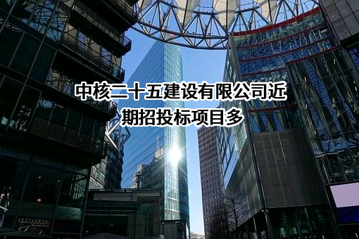 中核二十五建设有限公司