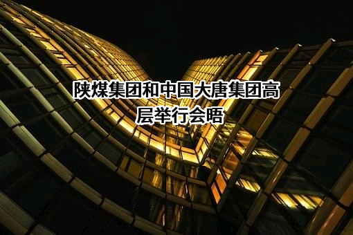 陕西煤业化工集团有限责任公司