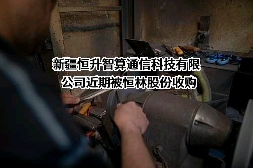新疆恒升智算通信科技有限公司