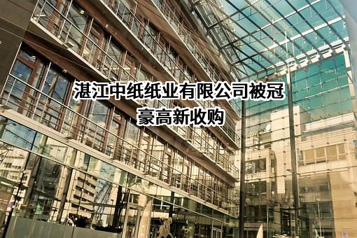 湛江中纸纸业有限公司