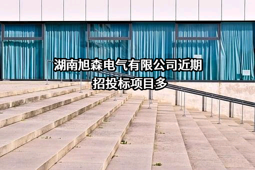 湖南旭森电气有限公司