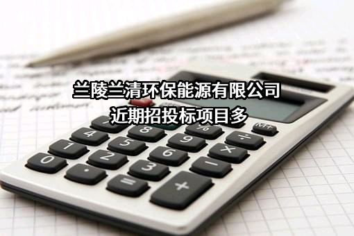 兰陵兰清环保能源有限公司