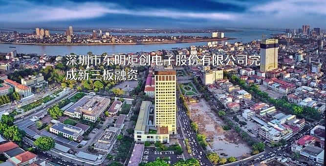 深圳市东明炬创电子股份有限公司