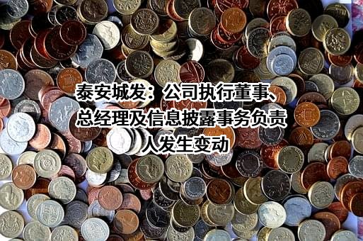 泰安市城市发展投资有限公司
