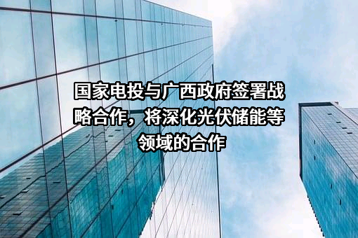 国家电力投资集团有限公司