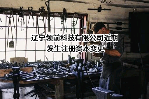 辽宁领前科技有限公司