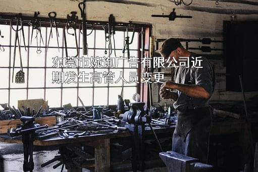 东莞市婉询广告有限公司
