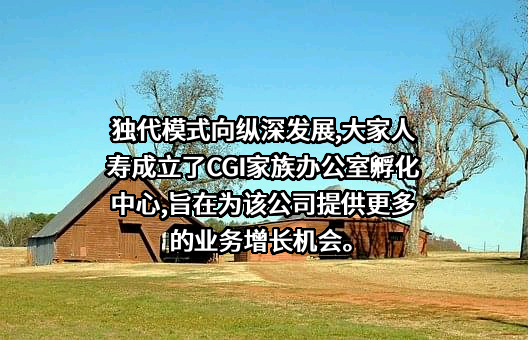 大家养老保险股份有限公司