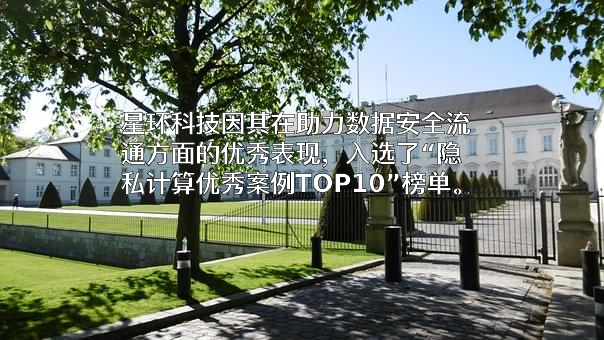 星环信息科技（上海）股份有限公司