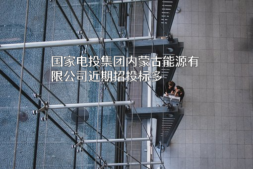 国家电投集团内蒙古能源有限公司