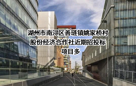 湖州市南浔区善琏镇姚家桥村股份经济合作社