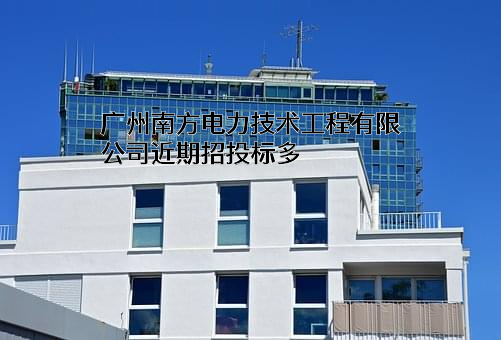 广州南方电力技术工程有限公司
