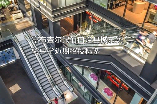 察布查尔锡伯自治县城东实验中学