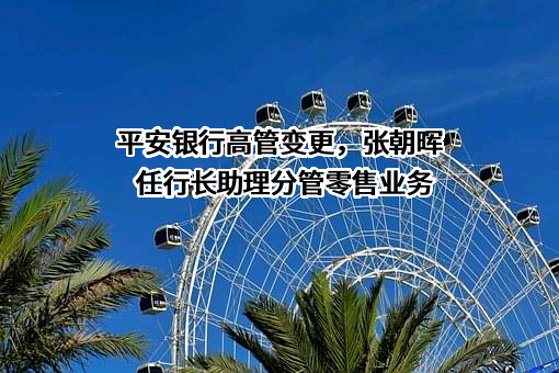 平安银行股份有限公司