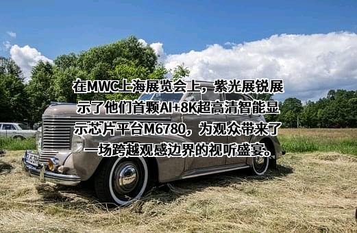 紫光展锐（上海）科技有限公司