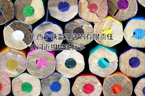 广西宁铁监理咨询有限责任公司