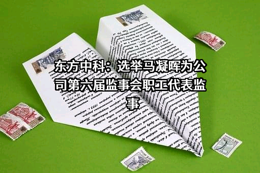 东方中科：选举马凝晖为公司第六届监事会职工代表监事