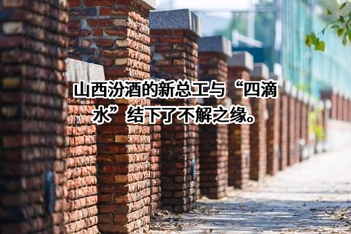 山西杏花村汾酒集团有限责任公司