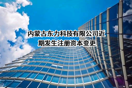 内蒙古东力科技有限公司