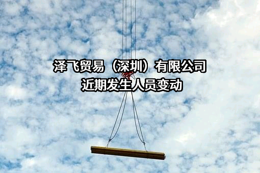 泽飞贸易（深圳）有限公司