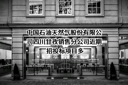 中国石油天然气股份有限公司四川甘孜销售分公司