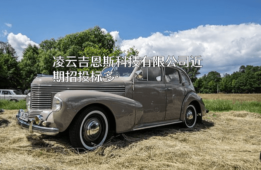 凌云吉恩斯科技有限公司