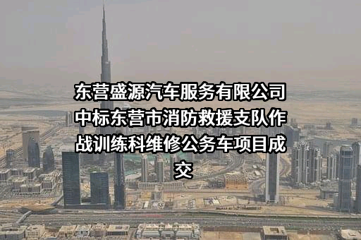 东营盛源汽车服务有限公司