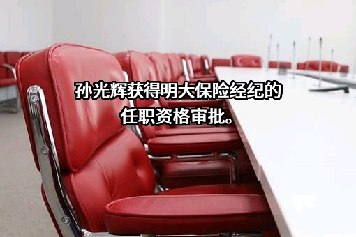 上海明大保险经纪有限公司