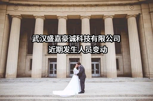 武汉盛嘉豪诚科技有限公司