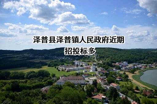 泽普县泽普镇人民政府