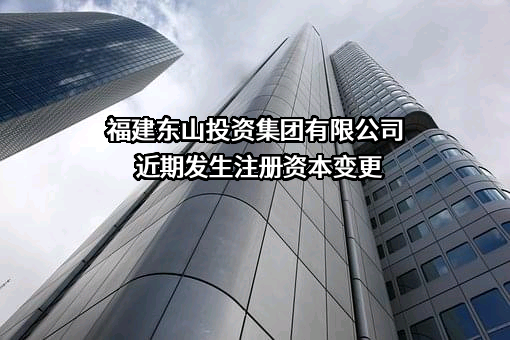 福建东山投资集团有限公司
