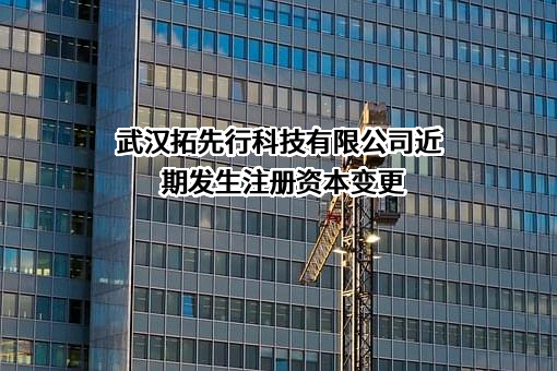 武汉拓先行科技有限公司