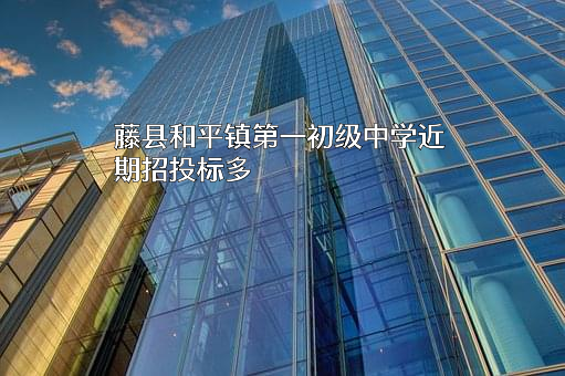 藤县和平镇第一初级中学
