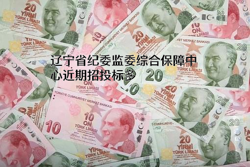 辽宁省纪委监委综合保障中心