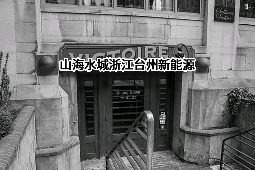 威睿电动汽车技术(宁波)有限公司