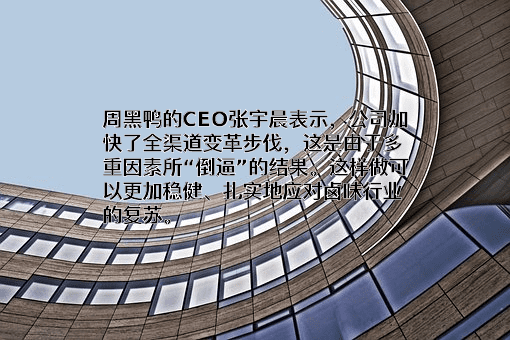 周黑鸭国际控股有限公司