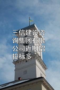 三信建设咨询集团有限公司