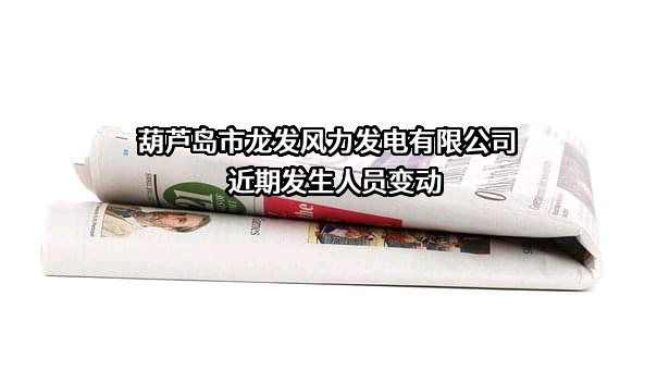 葫芦岛市龙发风力发电有限公司