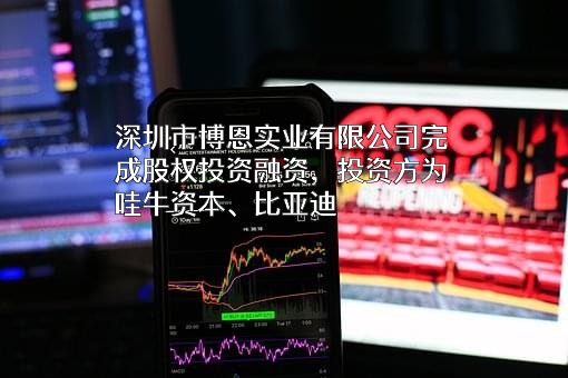 深圳市博恩实业有限公司