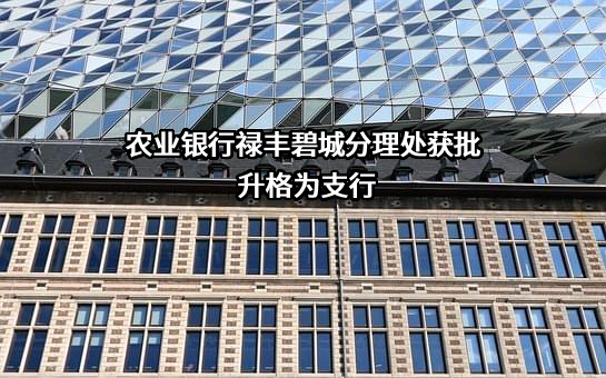 中国农业银行股份有限公司