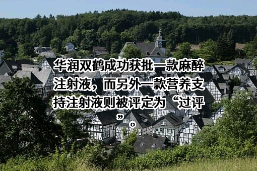 武汉滨湖双鹤药业有限责任公司